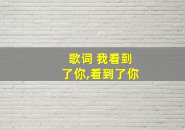 歌词 我看到了你,看到了你